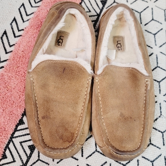 UGG Ascot Slipper in Tan, sz 11 main image 6